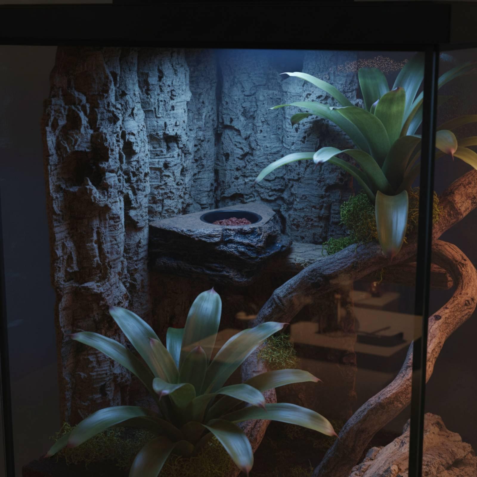 Water Dish Reptile - ชั้นวางอาหารและน้ำสำหรับตุ๊กแก ปรับตำแหน่งได้ ชามอาหารสำหรับตุ๊กแกถอดออกได้ ชั้นวางสำหรับให้อาหารสัตว์เลื้อยคลานสำหรับตู้กระจก