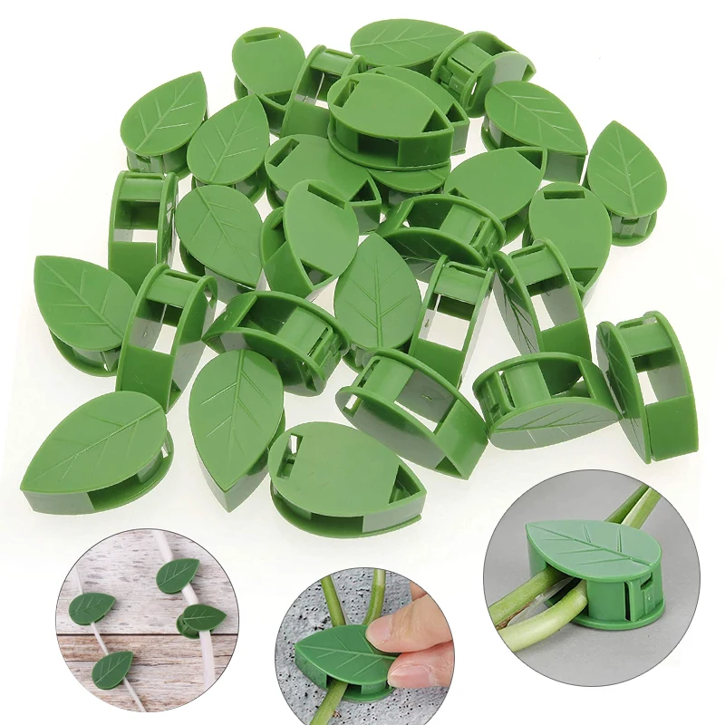 1-50 ชิ้นที่มองไม่เห็นพืชผนังอ - Vine Climbing Plastic บทวิจารณ์และราคา