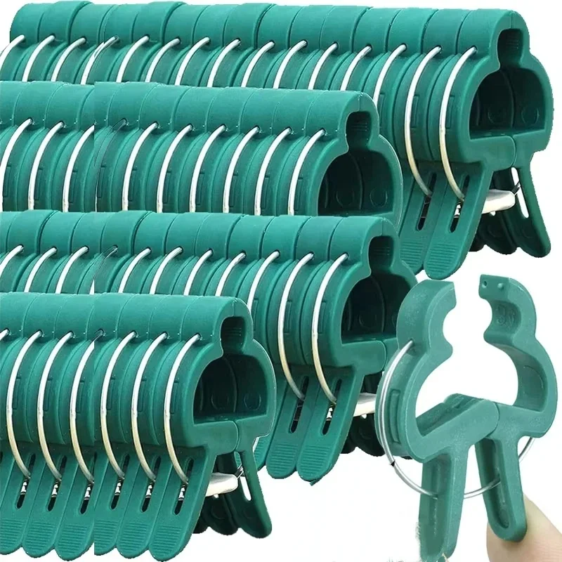 คลิปยึดต้นไม้แบบใช้ซ้ำได้ สำหร - Vine Climbing Plastic บทวิจารณ์และราคา