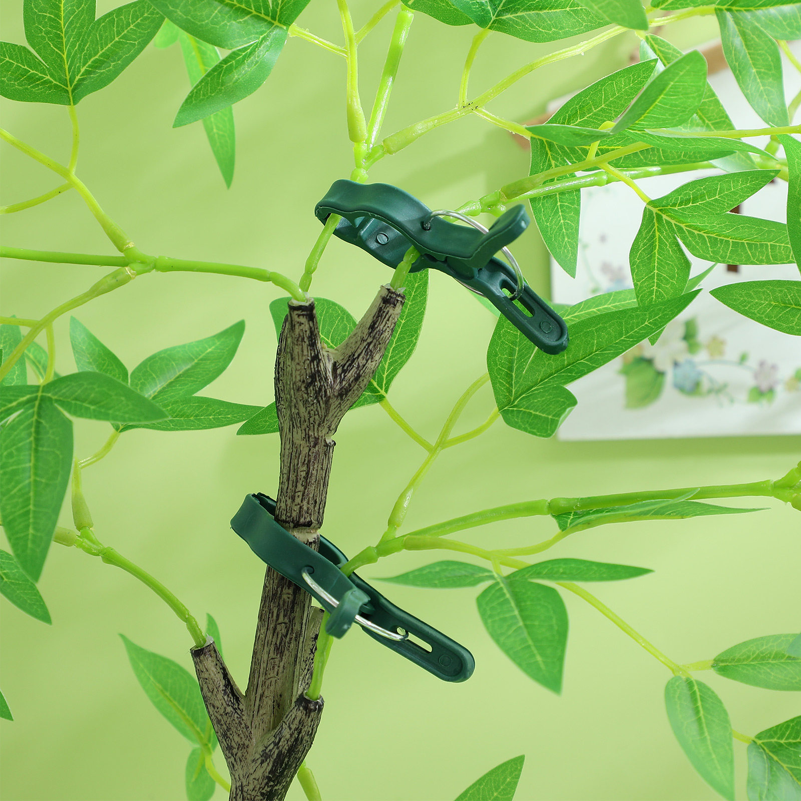 คลิปหนีบพืช 50 ชิ้น คลิปพลาสติ - Vine Climbing Plastic บทวิจารณ์และราคา