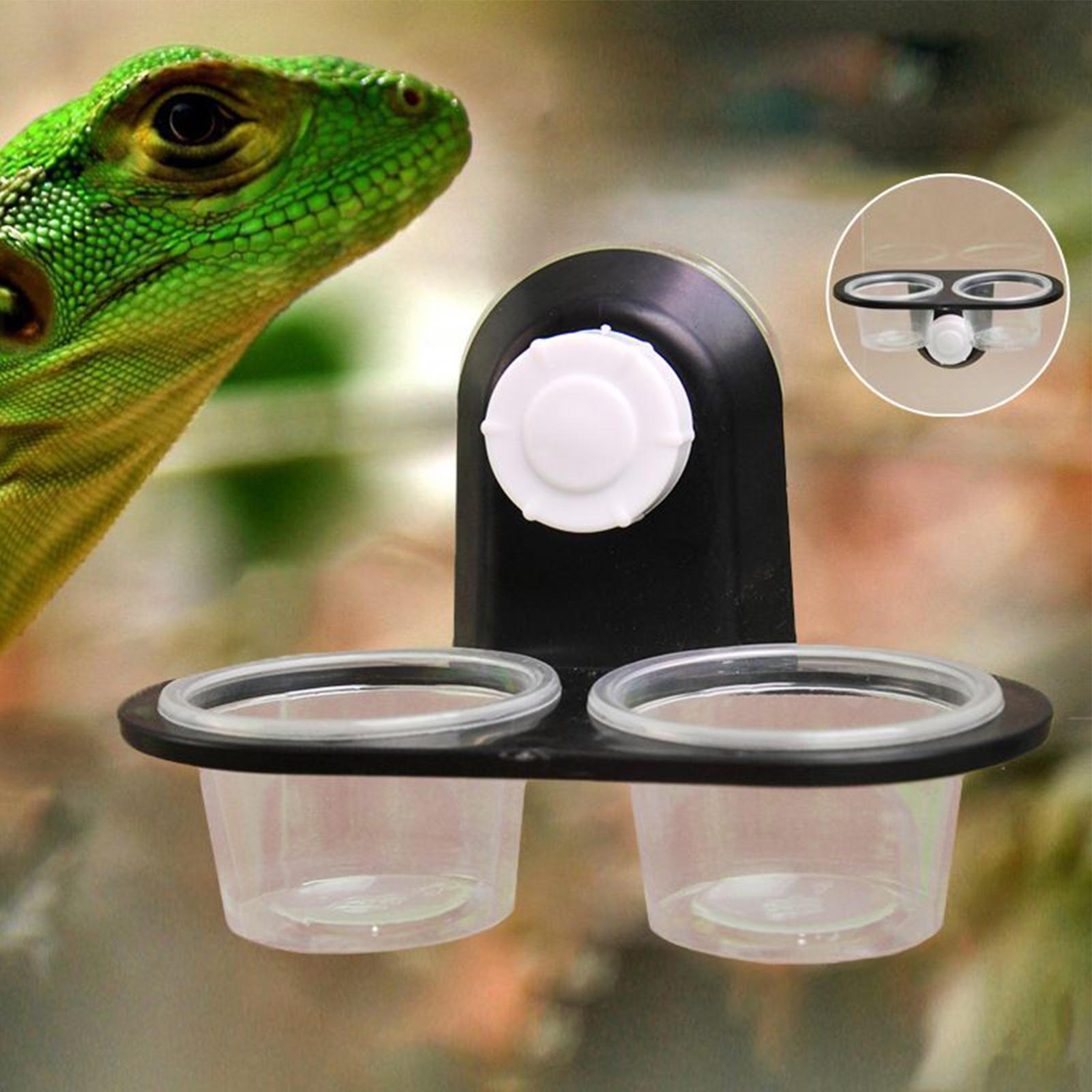 ถาดอาหารตุ๊กแก ถ้วยให้อาหารตุ๊ - Water Dish Reptile บทวิจารณ์และราคา