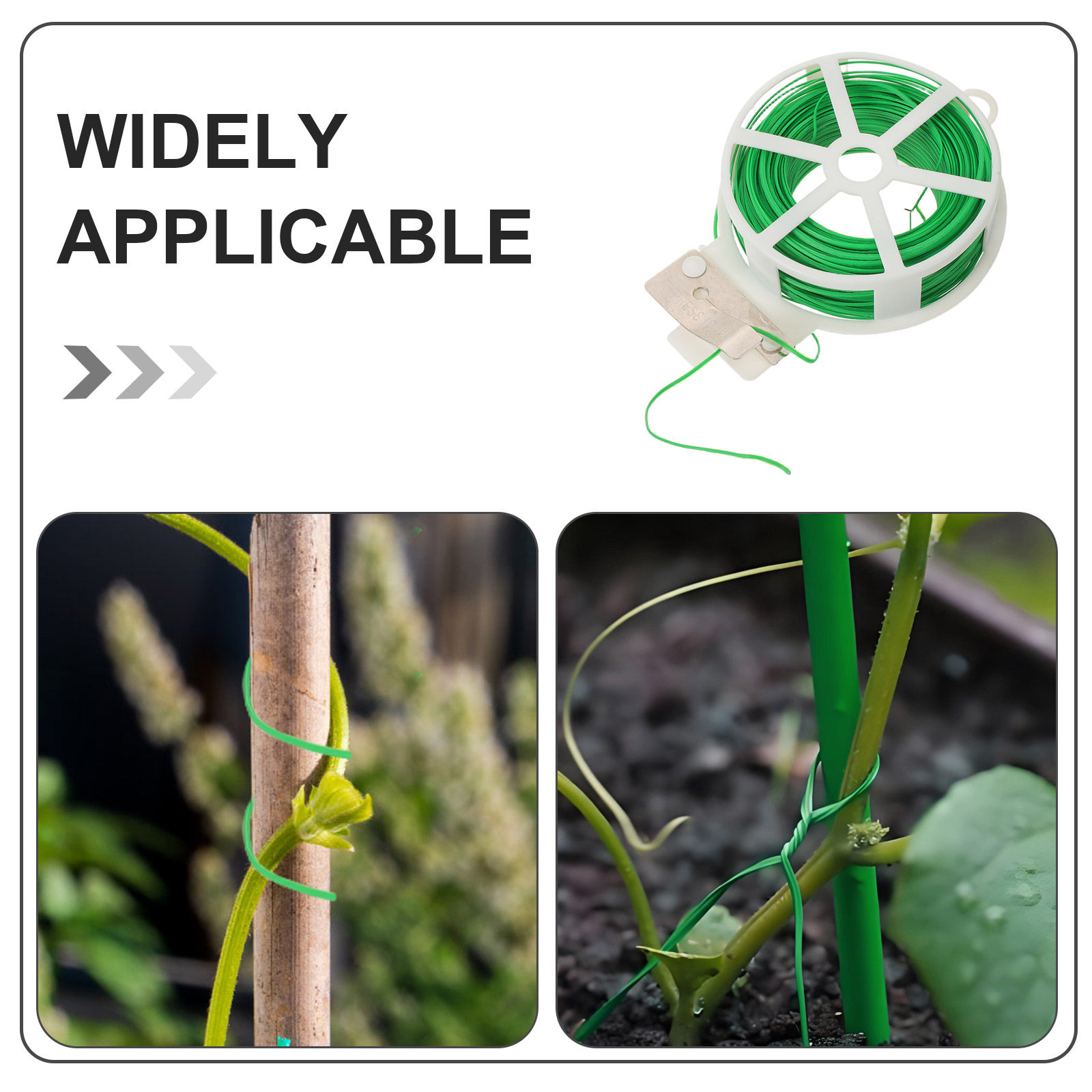 สายรัดพลาสติกเคลือบสีเขียวแบบห - Vine Climbing Plastic บทวิจารณ์และราคา