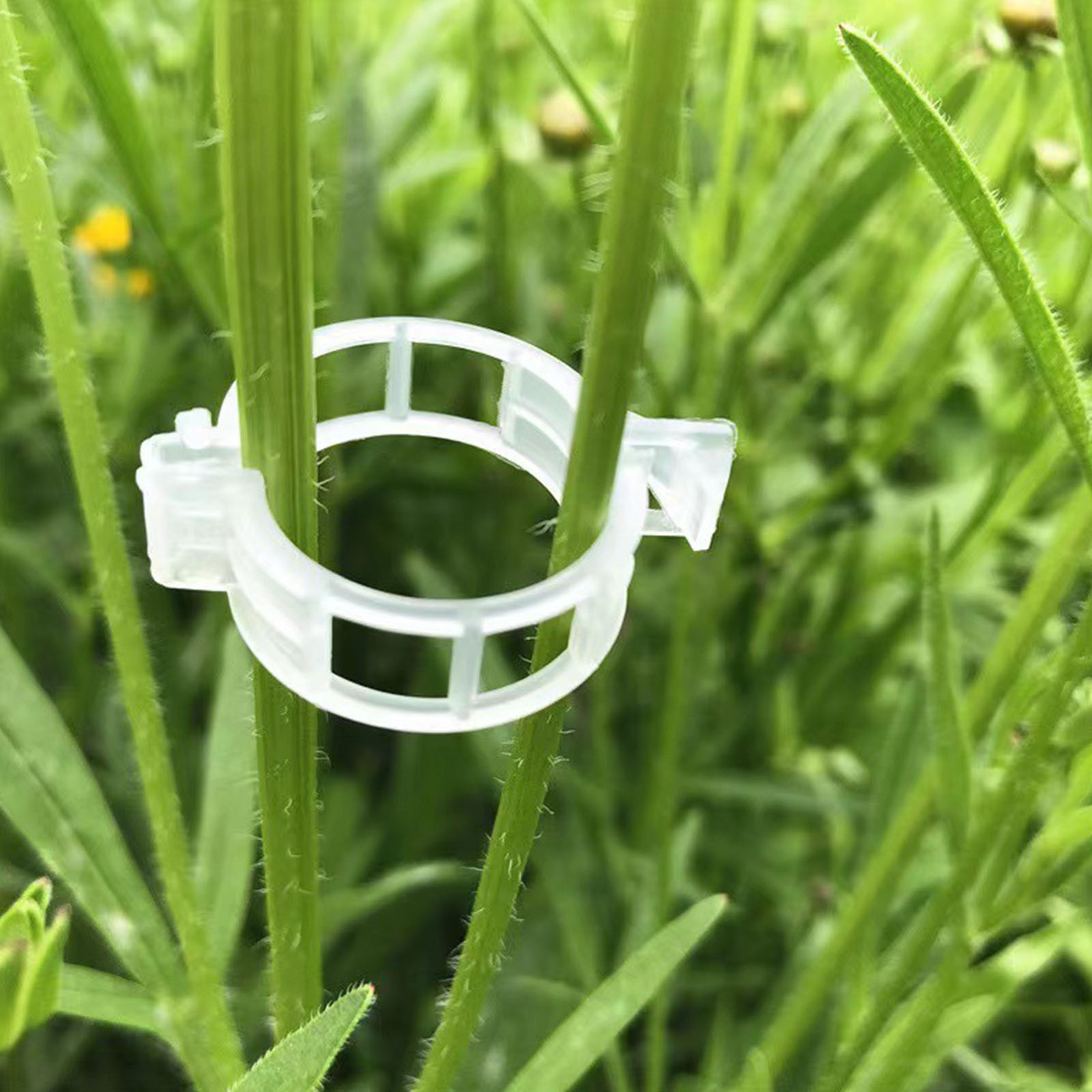 คลิปหนีบพลาสติกสำหรับยึดต้นไม้ - Vine Climbing Plastic บทวิจารณ์และราคา